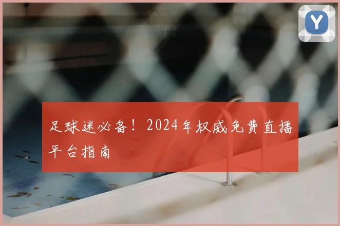 足球迷必备!2024年权威免费直播平台指南